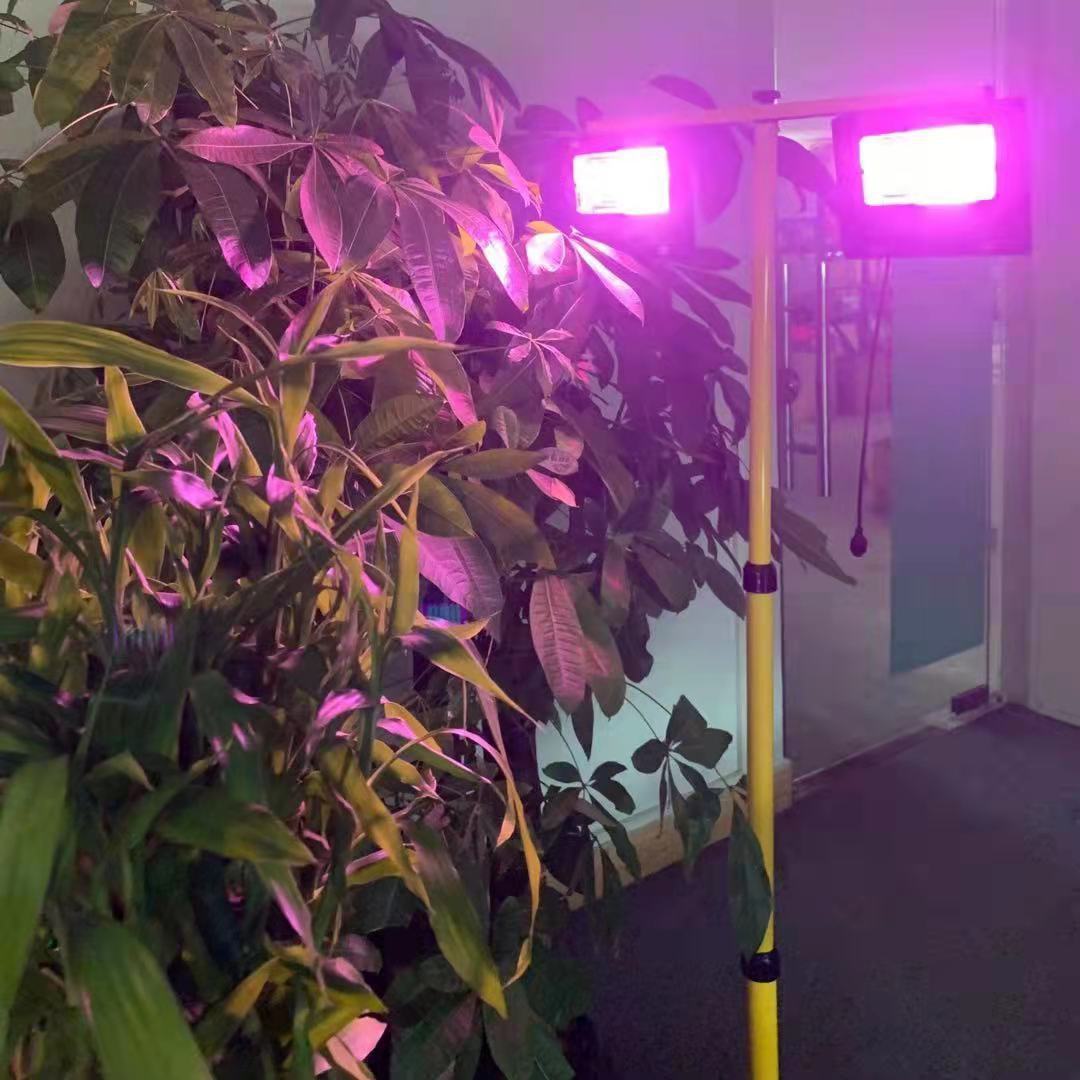 35/60W Solar LED Grow Light Fu - đánh giá và giá Renewable Energy Project